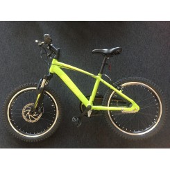 Ebsen 20" 3 gear Børnecykel MTB